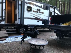 A dog standing next to a trailer with a fire pit.